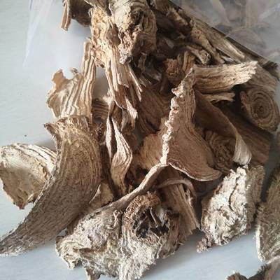 中藥材商陸 價格、正宗辨識與市場分析