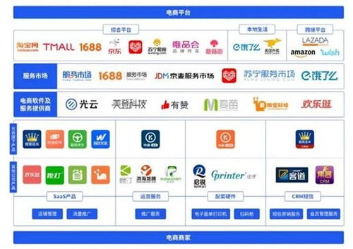 科創(chuàng)板迎來第100家上市公司，電子商務(wù)平臺(tái)服務(wù)企業(yè)開盤大漲177.5%